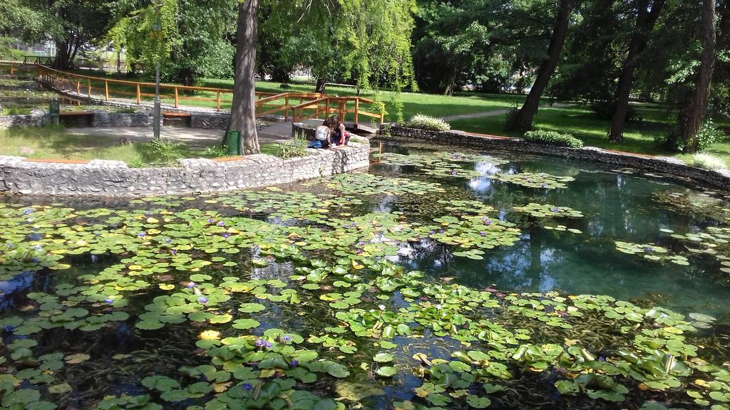 Margareta Vendeghaz Otel Miskolc Dış mekan fotoğraf